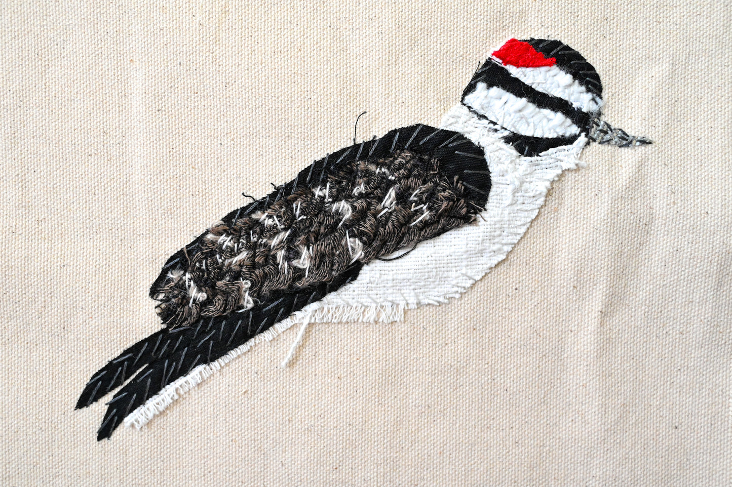 Downy Woodpecker, Male