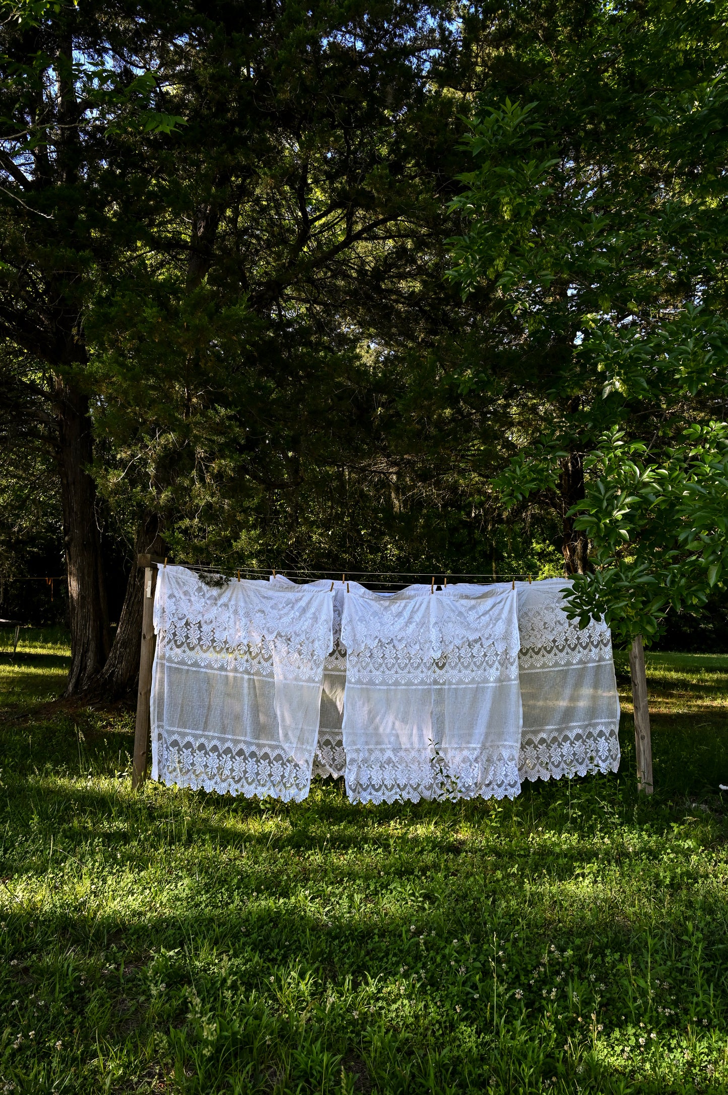 Vintage curtains, lace white floral rose set of 4 panels valance swag tiered scallop edge romantic