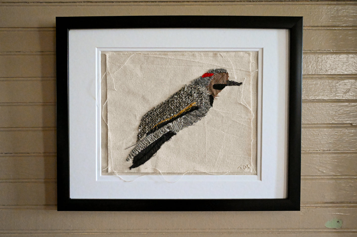 Northern Flicker, Male