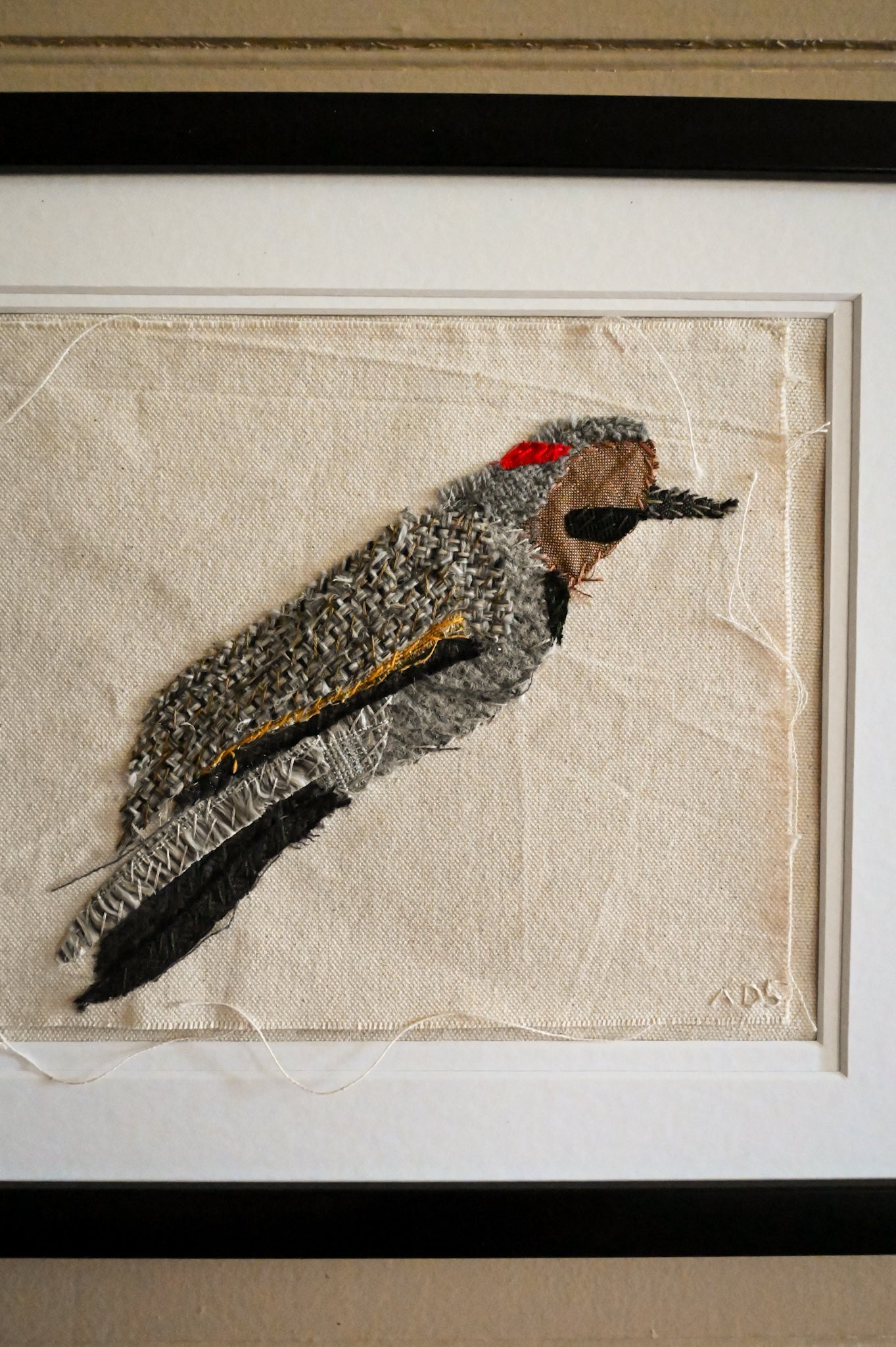 Northern Flicker, Male
