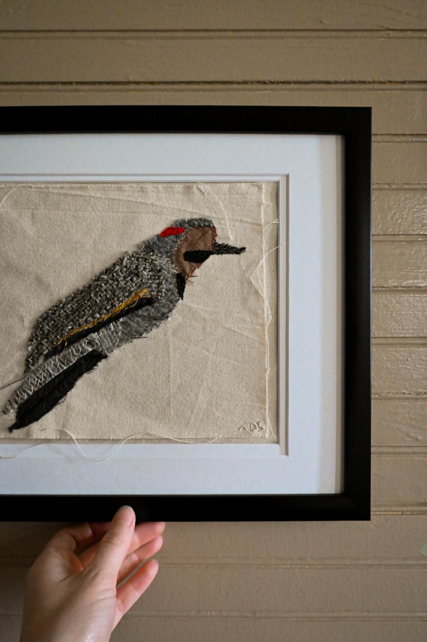 Northern Flicker, Male