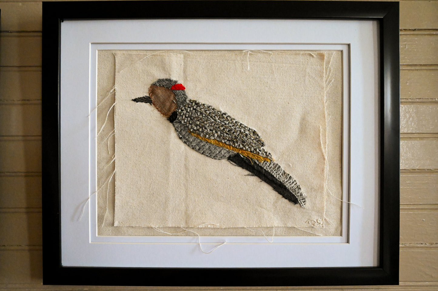 Northern Flicker, Female