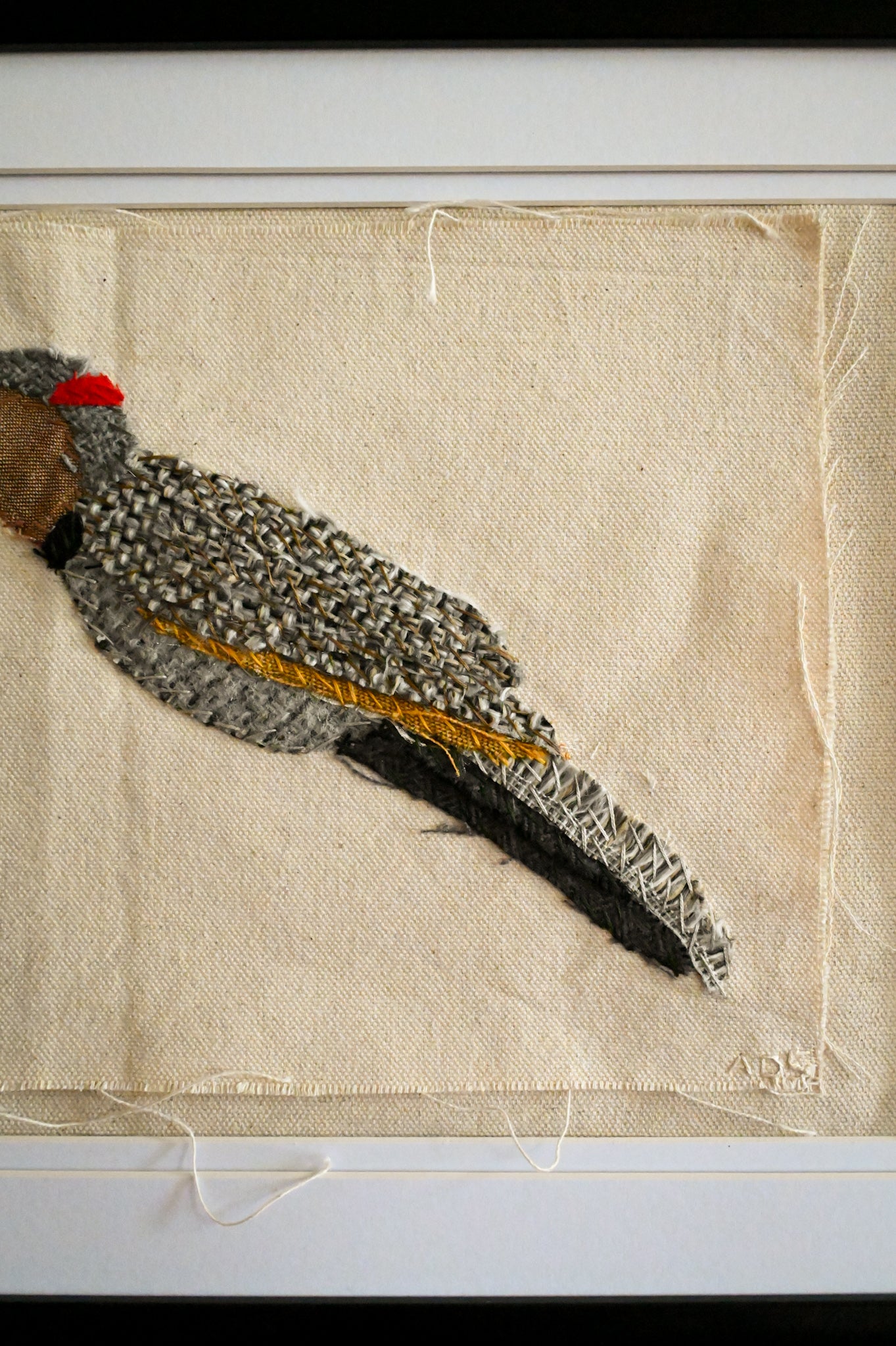 Northern Flicker, Female
