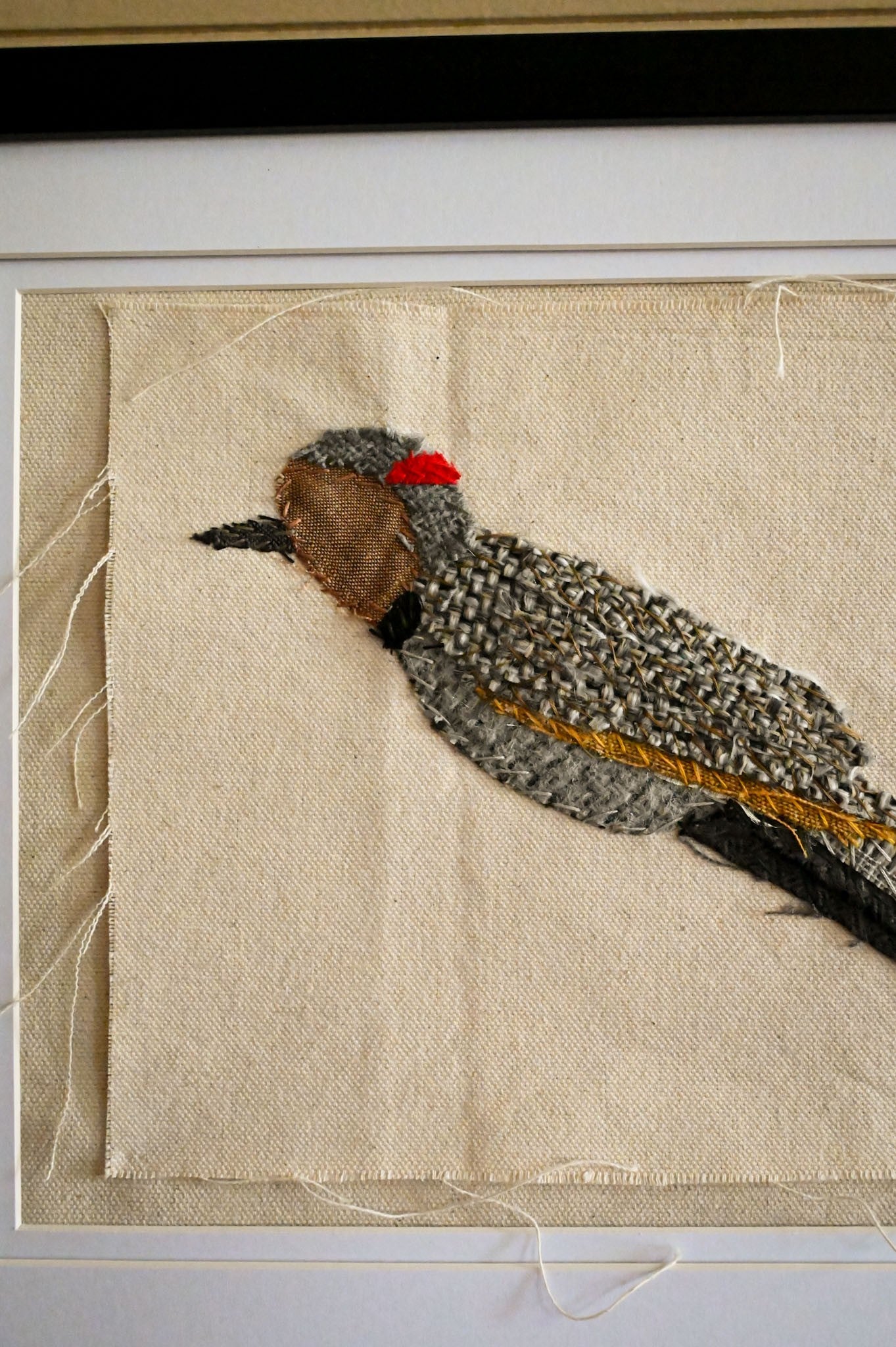 Northern Flicker, Female