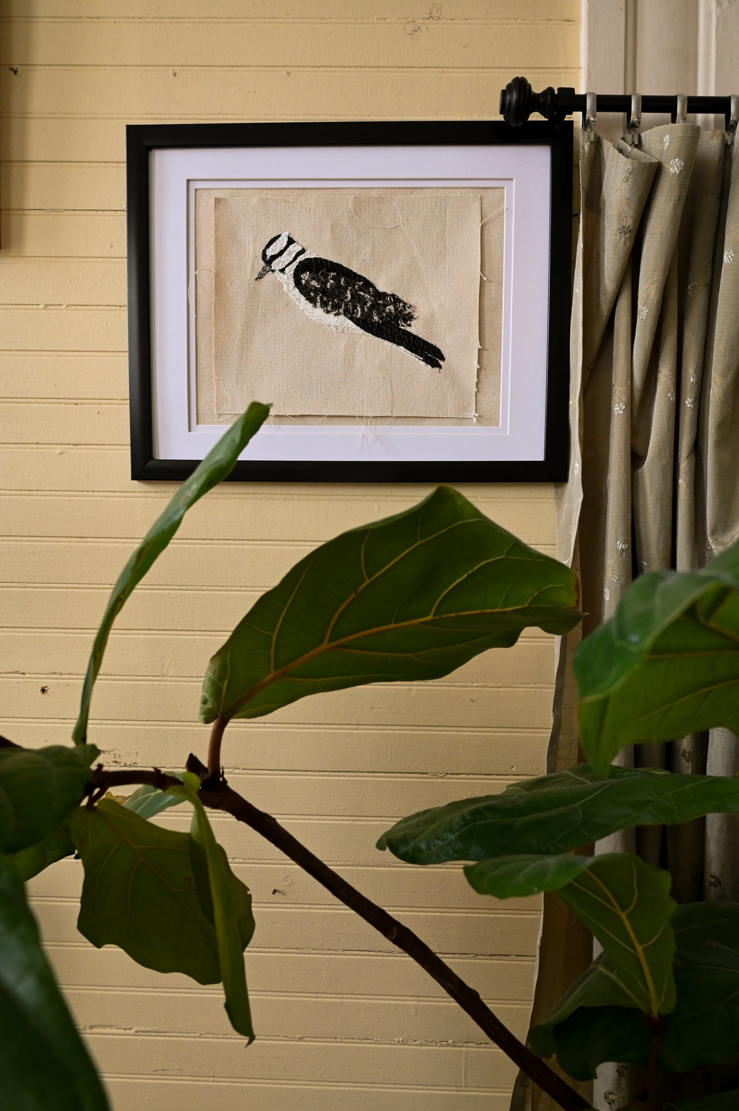 Downy Woodpecker, Female