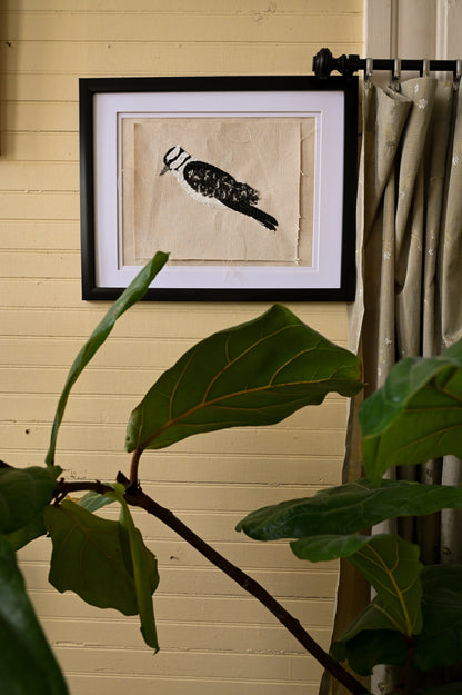 Downy Woodpecker, Female