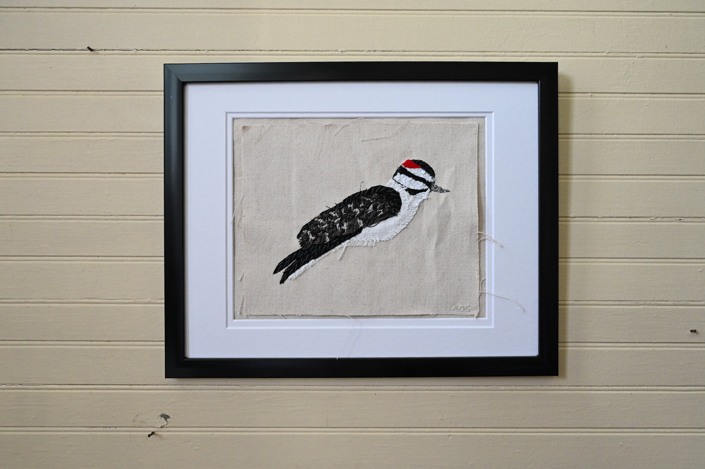 Downy Woodpecker, Male