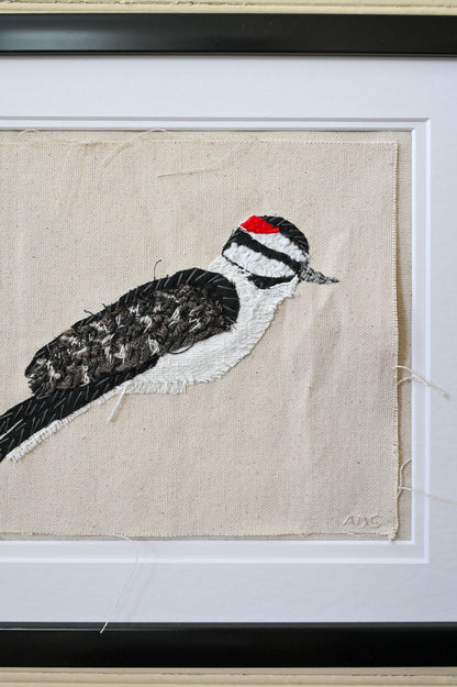 Downy Woodpecker, Male
