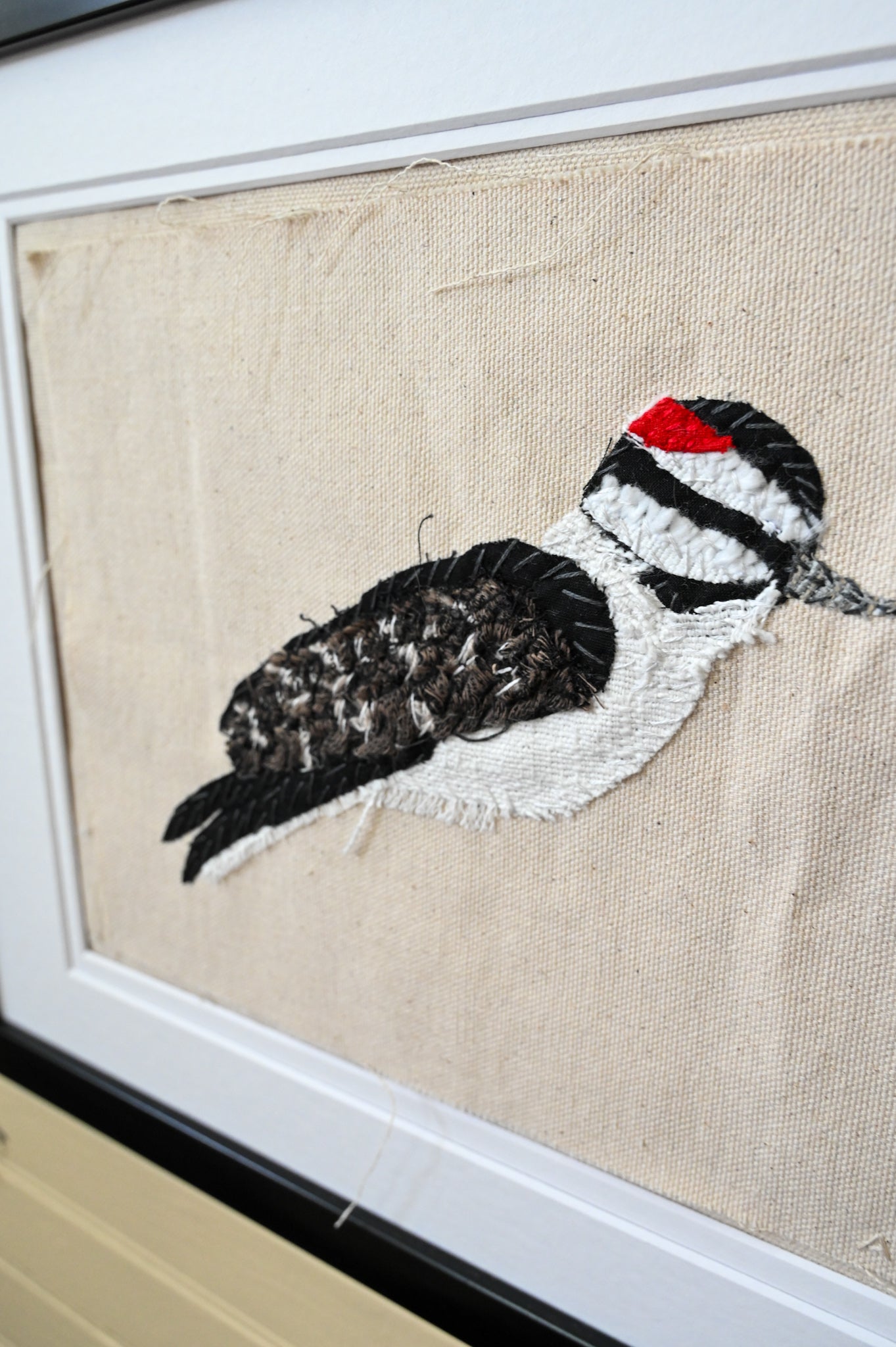 Downy Woodpecker, Male