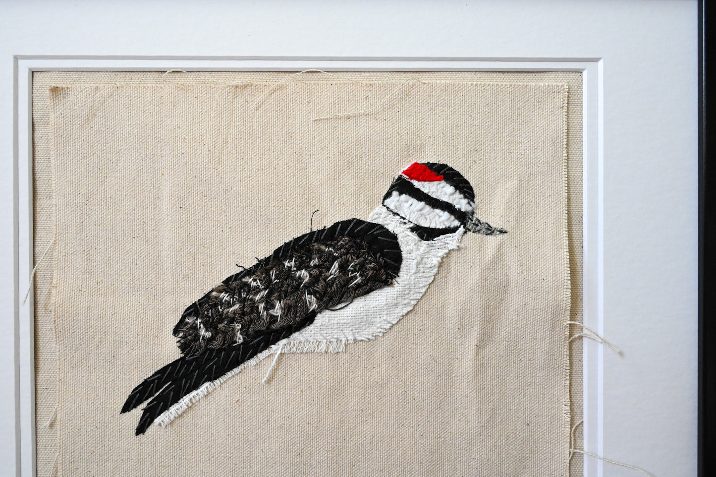 Downy Woodpecker, Male