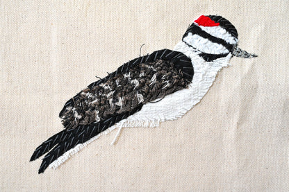Downy Woodpecker, Male