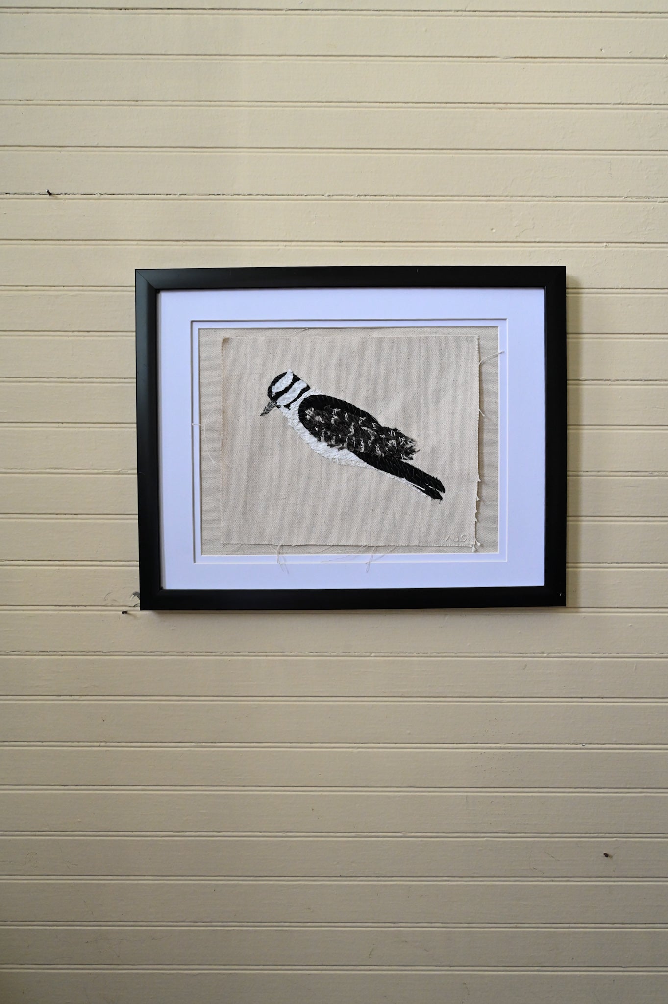 Downy Woodpecker, Female