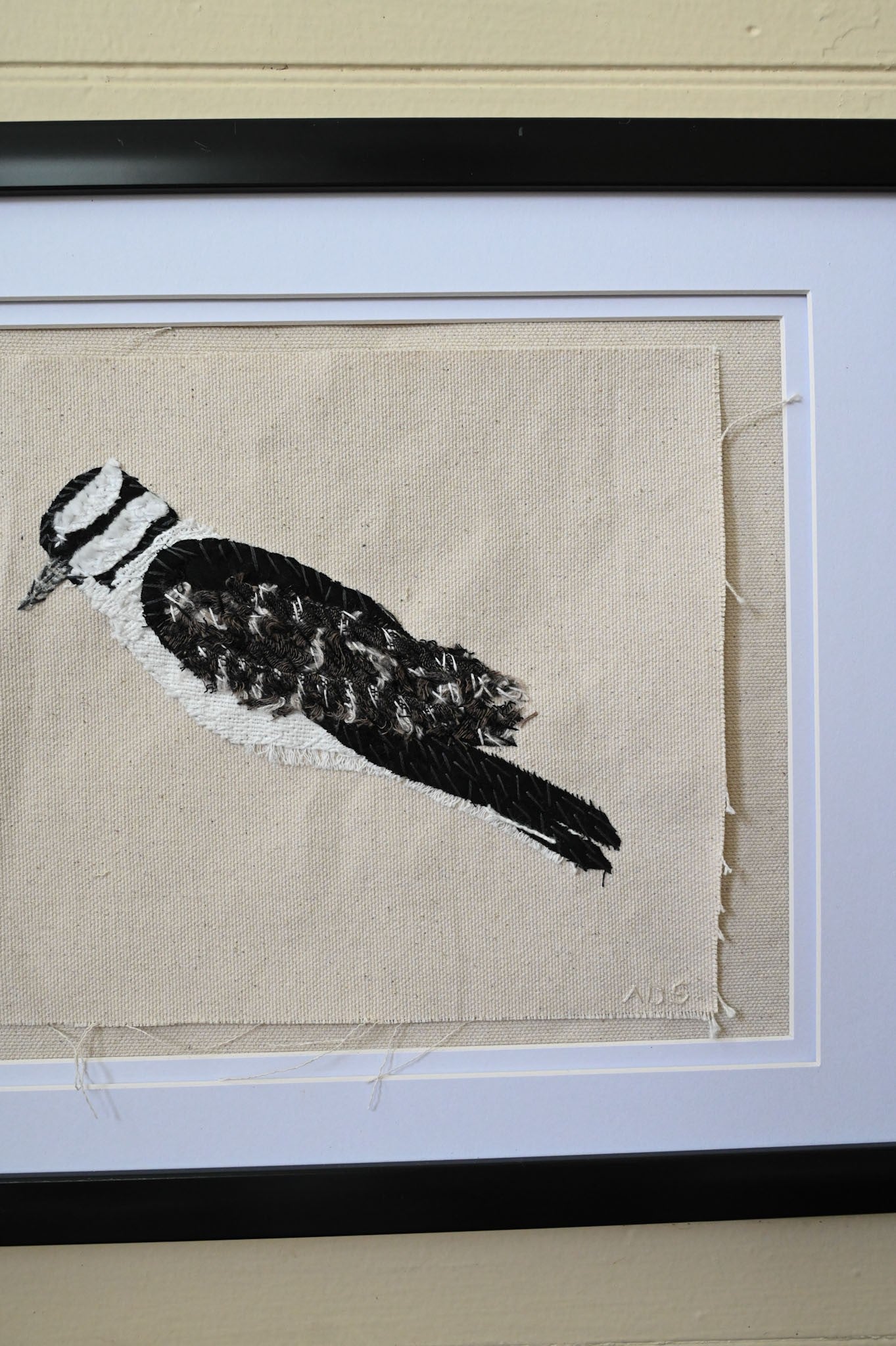 Downy Woodpecker, Female