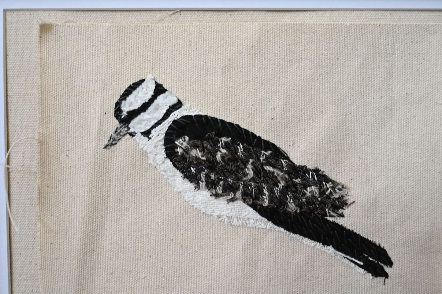 Downy Woodpecker, Female