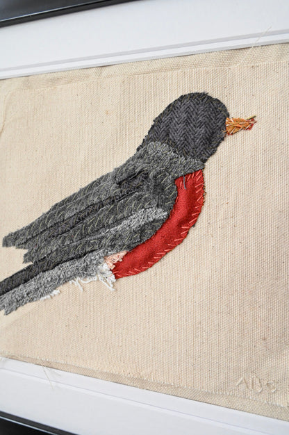 Randall Robin, Male