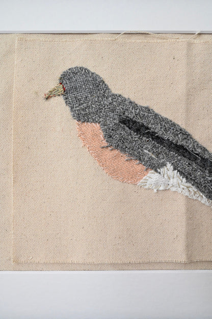 Rebecca Robin, Female