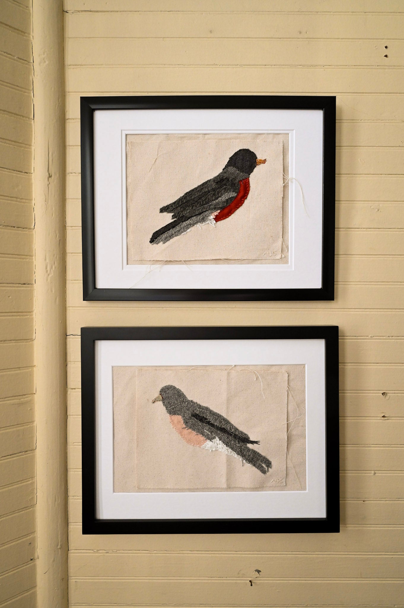 Randall Robin, Male