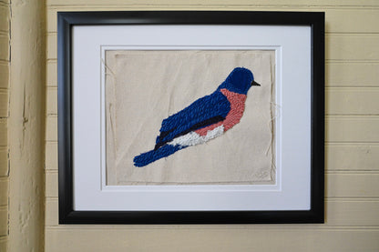 Brett Bluebird, Male