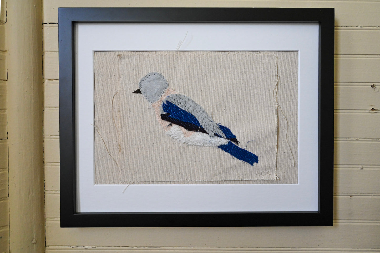 Brittany Bluebird, Female