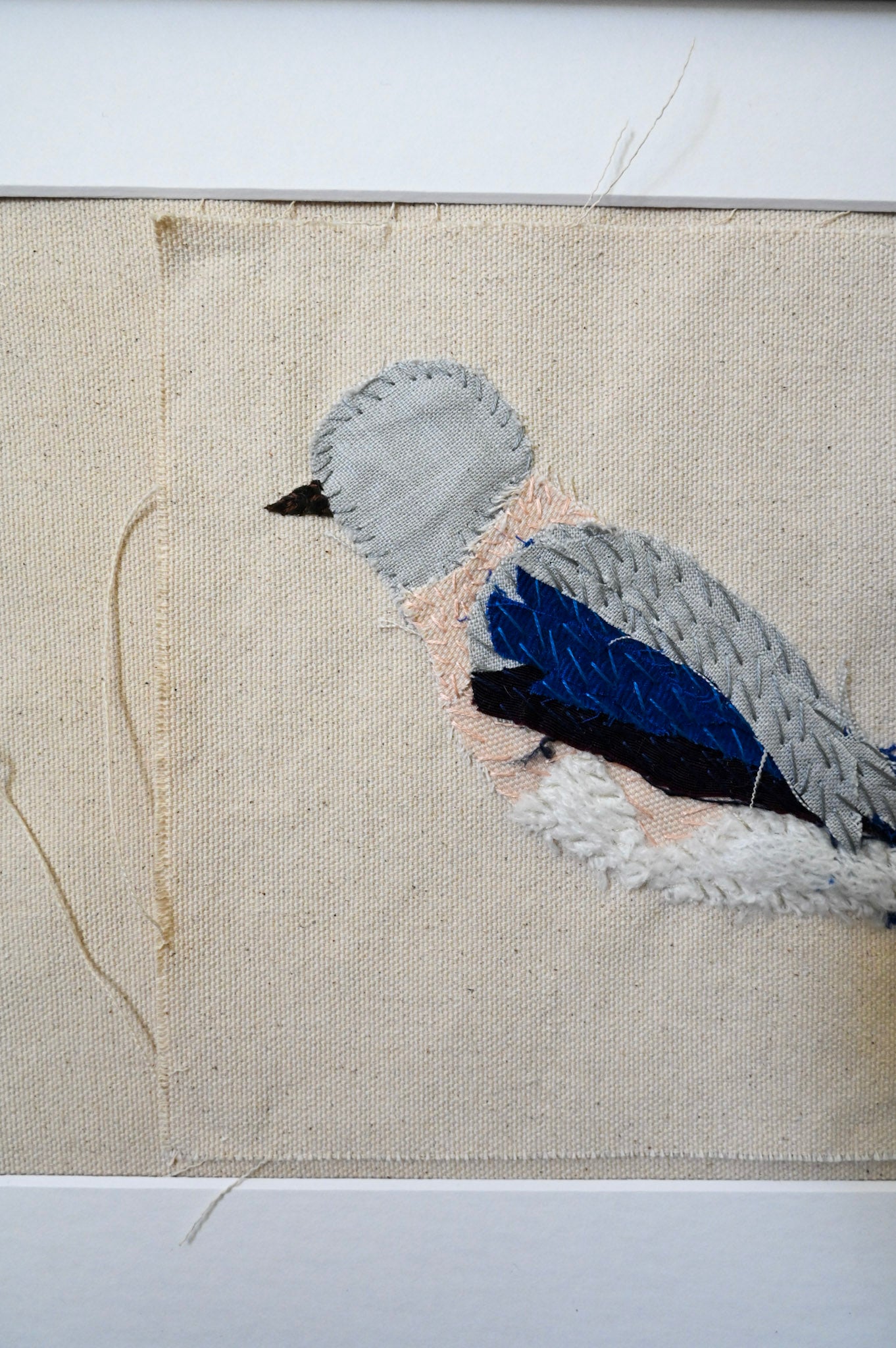 Brittany Bluebird, Female