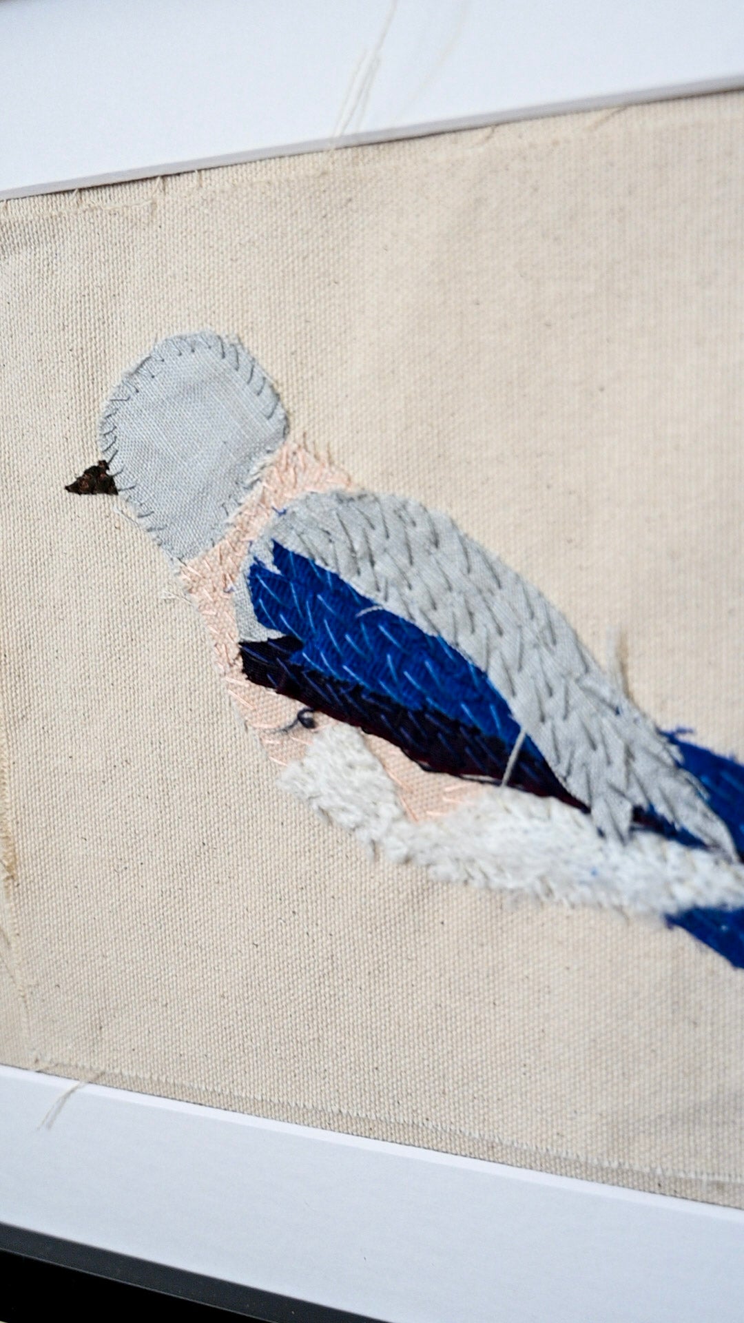 Brittany Bluebird, Female